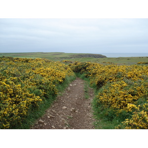 รูปถ่าย อังกฤษ(United Kingdom) เปมโบรคเชอร์(Pembrokeshire) มาร์ตินส์เฮเวน(Martins Havens) 2006-05 14