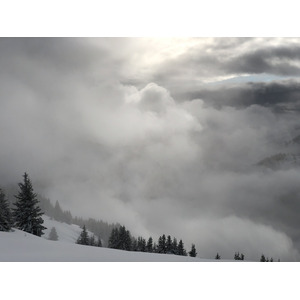 รูปถ่าย ฝรั่งเศส(France) ปรา-ซูร์-อาร์ลี(Praz sur Arly) 2019-12 463
