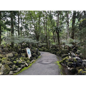 รูปถ่าย สิงคโปร์(Singapore) สวนพฤกษศาสตร์สิงคโปร์(Singapore Botanic Gardens) 2023-01 12