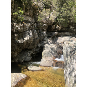 รูปถ่าย ฝรั่งเศส(France) คอร์สิคา(Corsica) ป่าไอโตเน(Aitone Forest) 2021-06 7