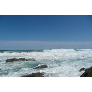 รูปถ่าย แอฟริกาใต้(South Africa) อุทยานแห่งชาติซิตซิคัมมา(Tsitsikamma National Park) 2008-09 304