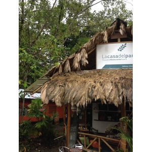รูปถ่าย คอสตาริกา(Costa Rica) ปวยร์โตเบียโฆเดตาลามังกา(Puerto Viejo de Talamanca) 2015-03 66