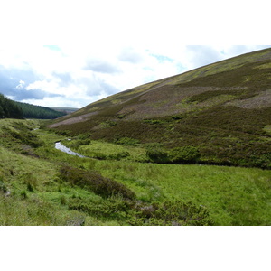 รูปถ่าย อังกฤษ(United Kingdom) อุทยานแห่งชาติแคร์นกอร์มส์(Cairngorms National Park) 2011-07 26