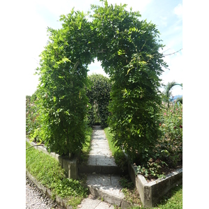 รูปถ่าย อิตาลี(Italy) วิลลาปัลลาวีชีโน(Villa Pallavicino) 2009-06 87