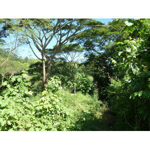 รูปถ่าย ฟิจิ(Fiji) แม่น้ำซิงกาโตกา(Sigatoka river) 2010-05 101