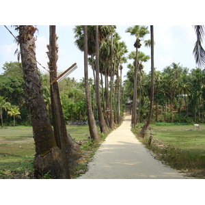 รูปถ่าย พม่า(Myanmar) หาดหม่องมะกันด้านเหนือ(Maungmagan North) 2005-01 19