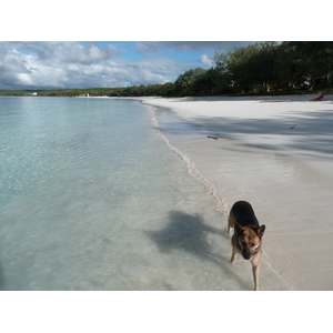 รูปถ่าย นิวแคลิโดเนีย(New Caledonia) เกาะลีฟู(Lifou) อ่าวชาโตบรีย็อง(Chateaubriand Bay) 2010-05 73