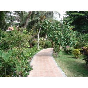รูปถ่าย ไทย(Thailand) หาดจอมเทียน(Jomtien Beach) วิวทะเล โครงการ 3(Viewtalay project 3) 2006-09 9