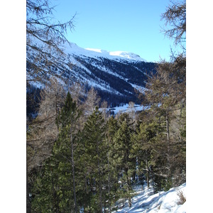 รูปถ่าย สวิสเซอร์แลนด์(Switzerland) จากปอนเตรซีนาไปลาโกเบียนโก(From Pontresina to Lago Bianco) 2007-01 56