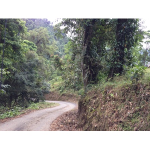 รูปถ่าย คอสตาริกา(Costa Rica) แม่น้ำปากัวเร(Pacuare River) 2015-03 191
