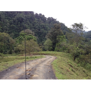 รูปถ่าย คอสตาริกา(Costa Rica) แม่น้ำปากัวเร(Pacuare River) 2015-03 201