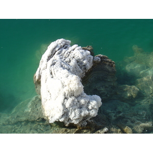 รูปถ่าย จอร์แดน(Jordan) ทะเลดำ(Dead Sea) 2004-10 4