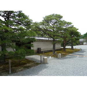 รูปถ่าย ญี่ปุ่น(Japan) เกียวโต(Kyoto) ปราสาทนิโจ(Nijo Castle) 2010-06 52