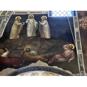 รูปถ่าย อิตาลี(Italy) ปาโดวา(Padua) 2022-05 187
