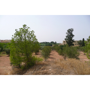 รูปถ่าย โมร็อกโก(Morocco) เม็กเนส(Meknes) 2008-07 82