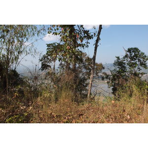 รูปถ่าย ไทย(Thailand) แม่น้ำโขง(Mekong river) 2012-12 2
