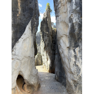 รูปถ่าย จีน(China) ป่าหินสือหลิน(Shilin Stone Forest) 2026-01 239