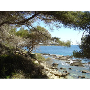 รูปถ่าย ฝรั่งเศส(France) คานส์(Cannes) เกาะแซ็งต์-มาร์เกอริต(Sainte Marguerite) 2004-05 32