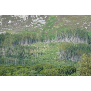 รูปถ่าย อังกฤษ(United Kingdom) เวสเตอร์รอสส์(Wester Ross) 2011-07 161