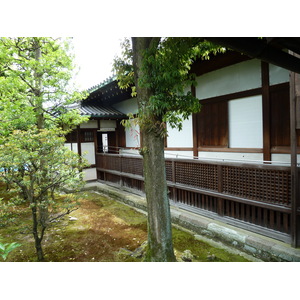 รูปถ่าย ญี่ปุ่น(Japan) เกียวโต(Kyoto) ปราสาทนิโจ(Nijo Castle) 2010-06 102