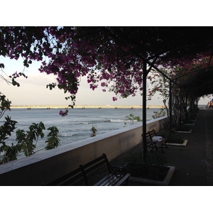 รูปถ่าย ปานามา(Panama) ปานามาซิตี(Panama City) 2015-03 42