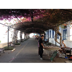 รูปถ่าย ปานามา(Panama) ปานามาซิตี(Panama City) 2015-03 43