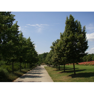 รูปถ่าย ฝรั่งเศส(France) วีลเนิฟ-ลา-การาน(Villeneuve La Garenne) สวนช็องเตอแรน(Parc des Chanteraines) 2007-07 15
