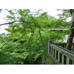 รูปถ่าย ญี่ปุ่น(Japan) เกียวโต(Kyoto) วัดคิโยมิซุเดระ(Kiyomizu Dera Temple) 2010-06 58