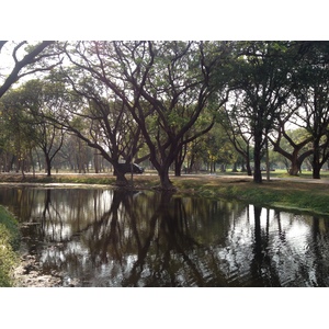 รูปถ่าย ไทย(Thailand) สุโขทัย(Sukhothai) 2014-02 43