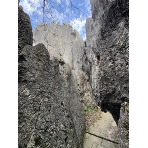 รูปถ่าย จีน(China) ป่าหินสือหลิน(Shilin Stone Forest) 2026-01 170