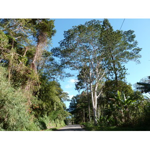 รูปถ่าย นิวแคลิโดเนีย(New Caledonia) ถนนจากกานาลาไปลาฟัว(Canala to La Foa road) 2010-05 26