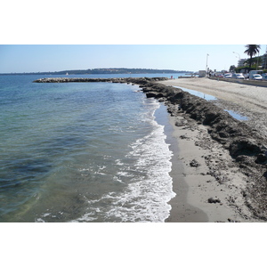 รูปถ่าย ฝรั่งเศส(France) คานส์(Cannes) หาดกาซาแญร์(Plage Gazagnaire) 2008-03 71