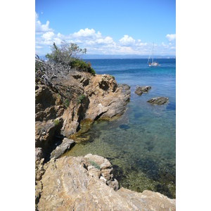 รูปถ่าย ฝรั่งเศส(France) เกาะปอร์เกอรอล(Porquerolles Island) แหลมเลอแก็ง(Pointe du Lequin) 2008-05 54