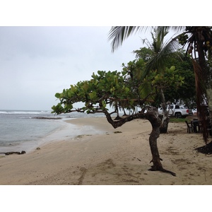 รูปถ่าย คอสตาริกา(Costa Rica) ปวยร์โตเบียโฆเดตาลามังกา(Puerto Viejo de Talamanca) 2015-03 113