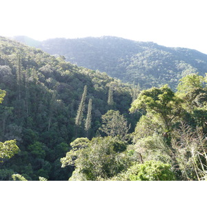 รูปถ่าย นิวแคลิโดเนีย(New Caledonia) ถนนจากกานาลาไปลาฟัว(Canala to La Foa road) 2010-05 51