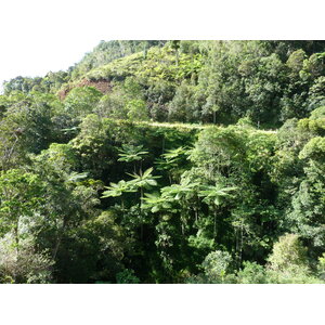 รูปถ่าย นิวแคลิโดเนีย(New Caledonia) ถนนจากกานาลาไปลาฟัว(Canala to La Foa road) 2010-05 45