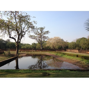 รูปถ่าย ไทย(Thailand) สุโขทัย(Sukhothai) 2014-02 27