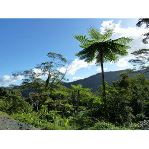 รูปถ่าย นิวแคลิโดเนีย(New Caledonia) 2010-05 123