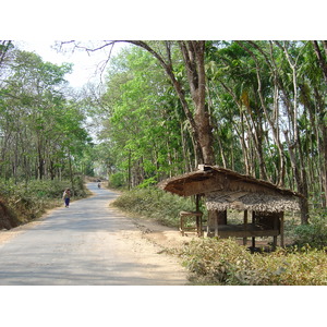 รูปถ่าย พม่า(Myanmar) ถนนจากทวายไปหาดหม่องมะกัน(Road from Dawei to Maungmagan beach) 2005-01 8