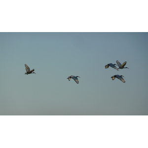 รูปถ่าย ฝรั่งเศส(France) เกรองเดอ(Guerande) นาเกลือ(Les marais salants) 2007-08 7
