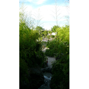 รูปถ่าย ฝรั่งเศส(France) ดิสนีย์แลนด์ปารีส(Disneyland Paris) บ้านต้นไม้โรบินสัน(La Cabane des Robinson) 2007-07 27