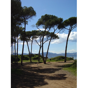 รูปถ่าย ฝรั่งเศส(France) คานส์(Cannes) เกาะแซ็งต์-มาร์เกอริต(Sainte Marguerite) 2004-05 62
