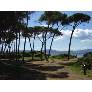 รูปถ่าย ฝรั่งเศส(France) คานส์(Cannes) เกาะแซ็งต์-มาร์เกอริต(Sainte Marguerite) 2004-05 61