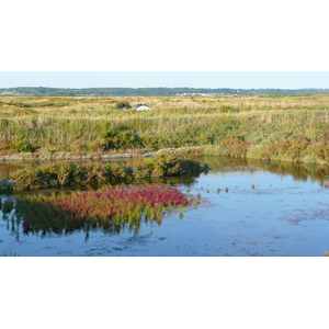 รูปถ่าย ฝรั่งเศส(France) เกรองเดอ(Guerande) นาเกลือ(Les marais salants) 2007-08 29