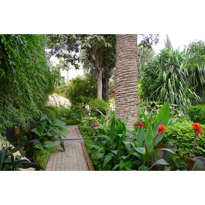 รูปถ่าย โมร็อกโก(Morocco) เฟส(Fes) โรงแรมปาเลจาไม(Palais Jamai Hotel) 2008-07 21