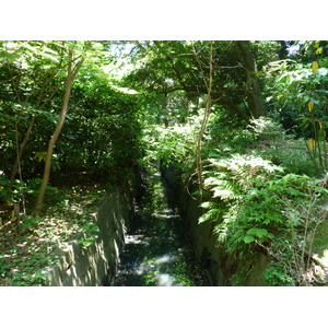 รูปถ่าย ญี่ปุ่น(Japan) โตเกียว(Tokyo) สวนฮามะริคิว(Hama rikyu Gardens) 2010-06 37