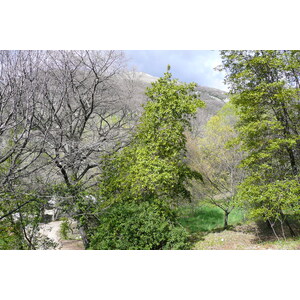 รูปถ่าย ฝรั่งเศส(France) วังซ์(Vence) โอเดอว็องส์(Hauts de Vence) 2008-03 69