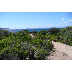 รูปถ่าย ฝรั่งเศส(France) เกาะปอร์เกอรอล(Porquerolles Island) แหลมเลอแก็ง(Pointe du Lequin) 2008-05 16