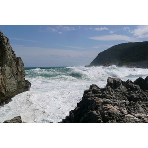 รูปถ่าย แอฟริกาใต้(South Africa) อุทยานแห่งชาติซิตซิคัมมา(Tsitsikamma National Park) 2008-09 152