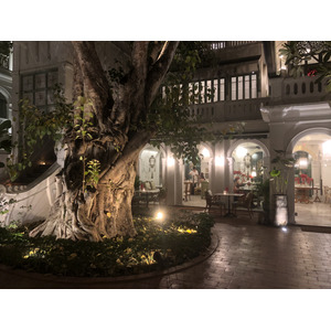 รูปถ่าย ไทย(Thailand) เชียงใหม่(Chiang Mai) 2024-01 150